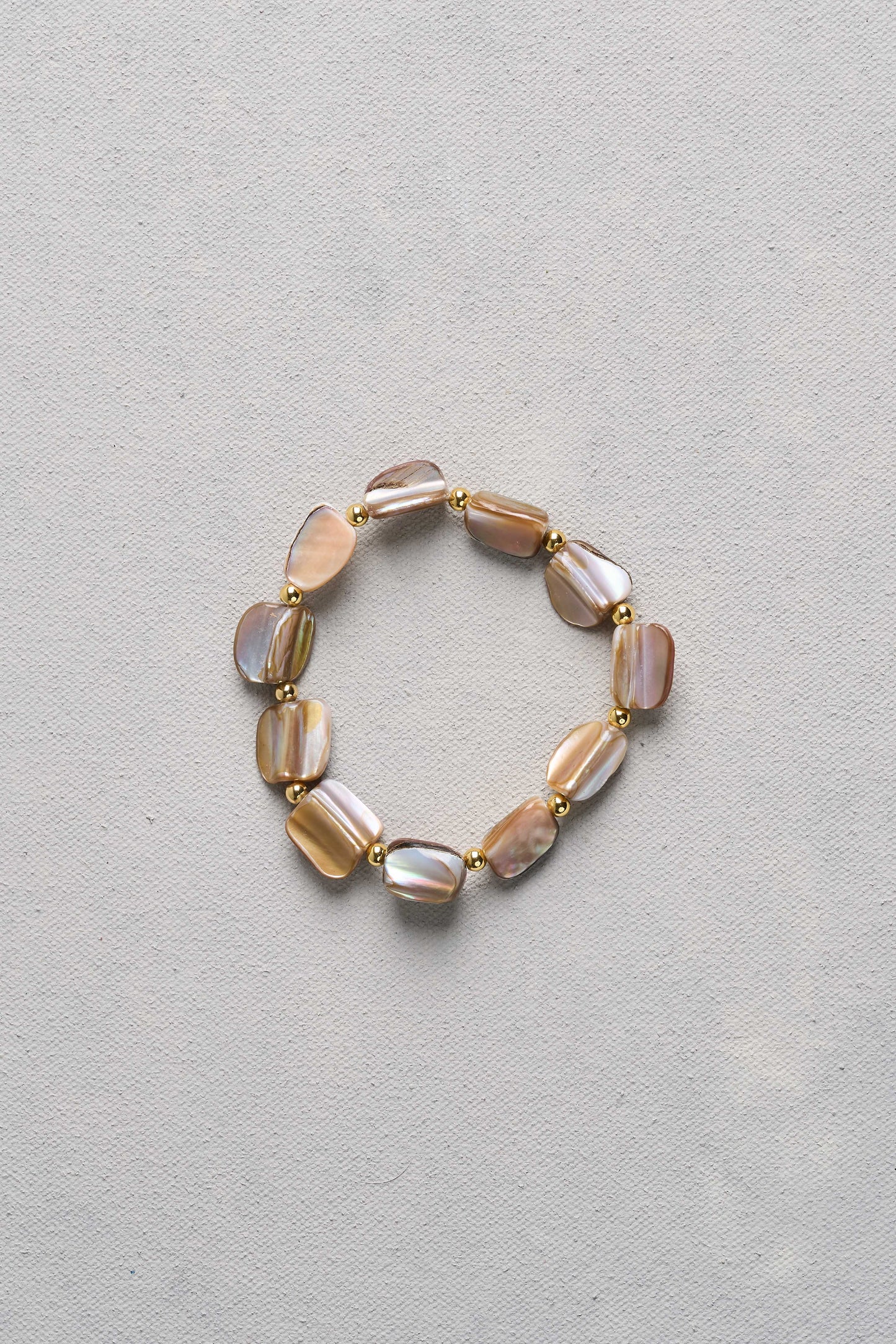 Shell Stretchy - Multicolour