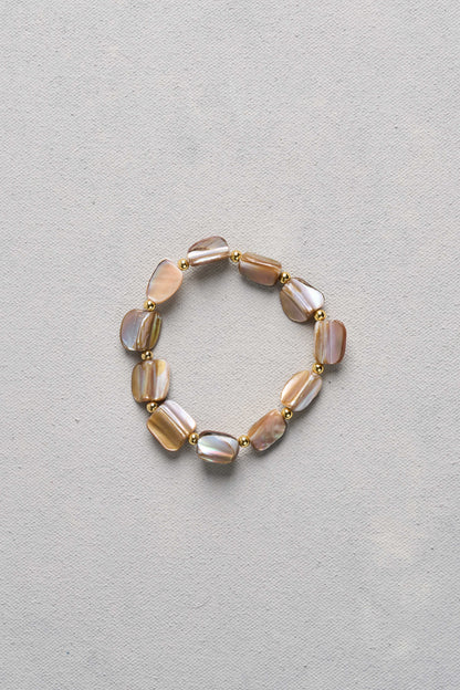 Shell Stretchy - Multicolour