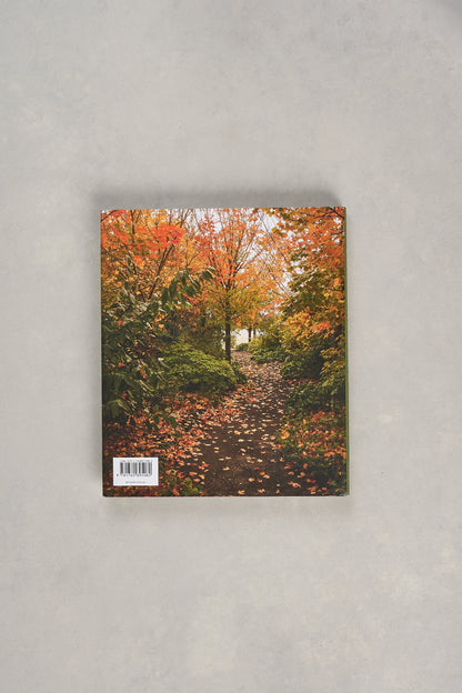 Stonefields Book